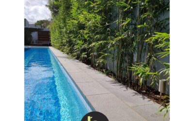 3 things to know before hiring a landscaper
