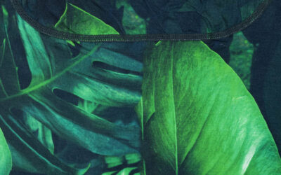 Your new soft, yet strong waistband